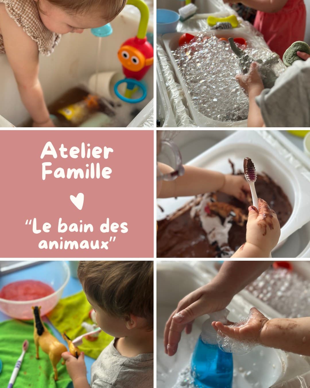Atelier famille Le bain des animaux
