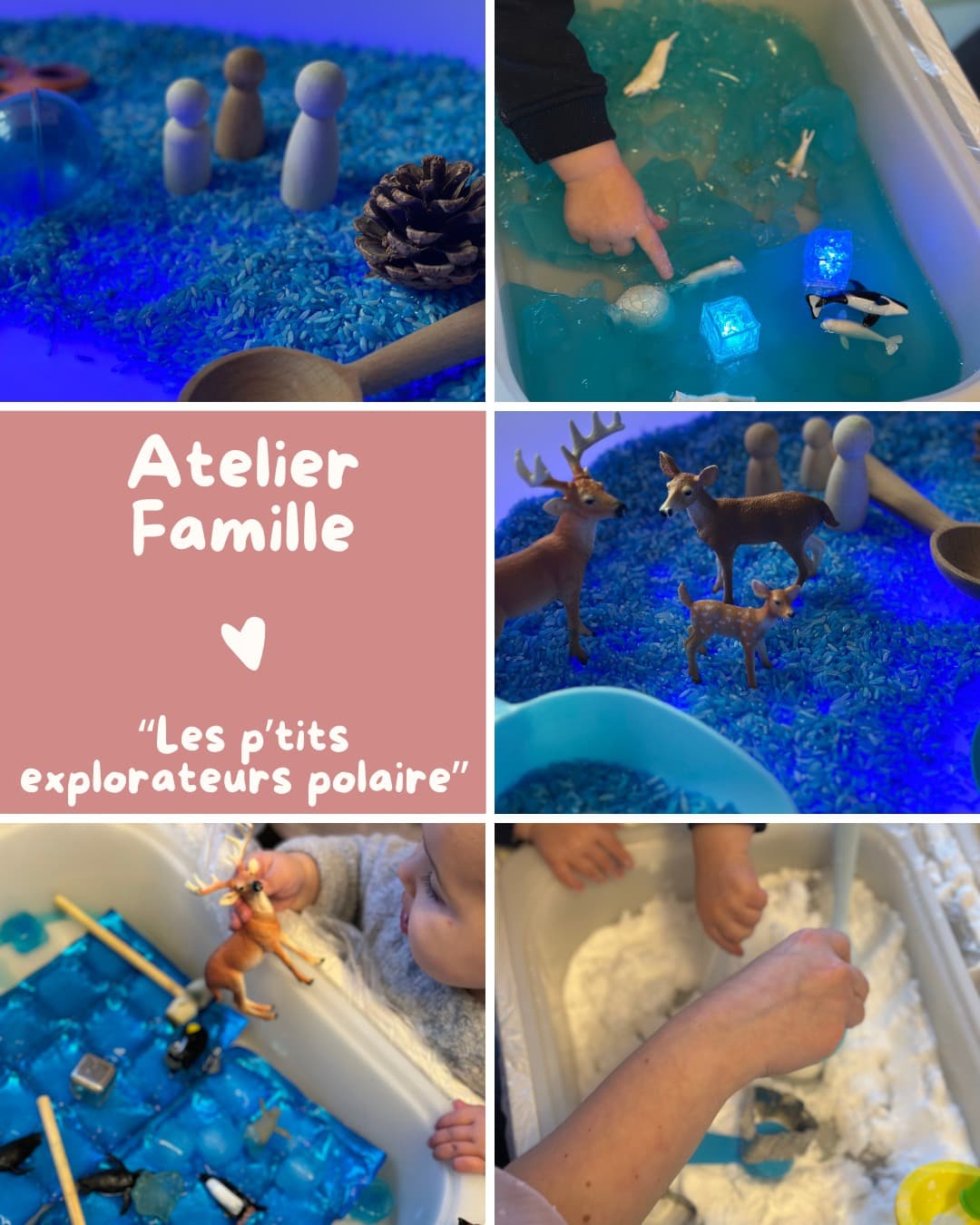Photos de l’atelier famille Les p’tits explorateurs polaires